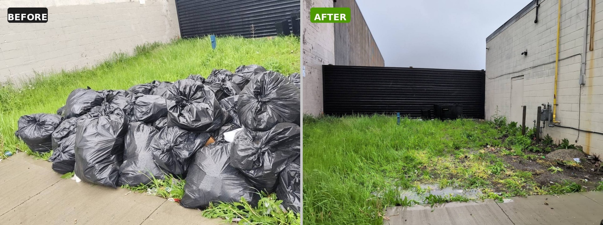 Toronto yard cleanout before and after by AlexCarter Junk Removal
